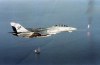 F-14 Persian Gulf